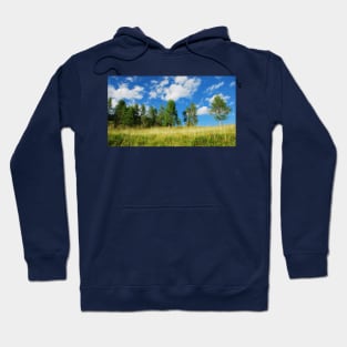 Trees with Cumulus Fractus Hoodie